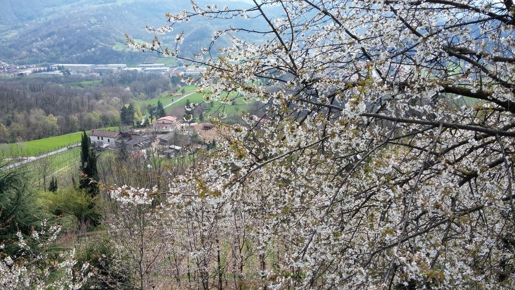 Agriturismo Il Mirabile Bed & Breakfast Trescore Balneario Bagian luar foto